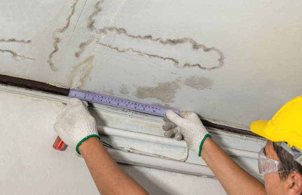 Reliable Mold Remediation contractor in Lafayette, CA by Water Damage Irwin